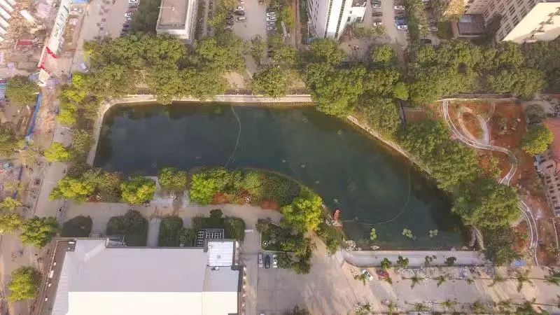 5c1c5ead1965b.jpg 3.jpg