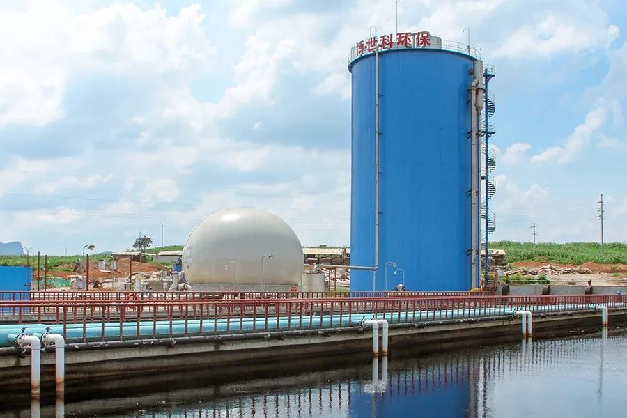 5c1c63e40a2eb.jpg 5.jpg