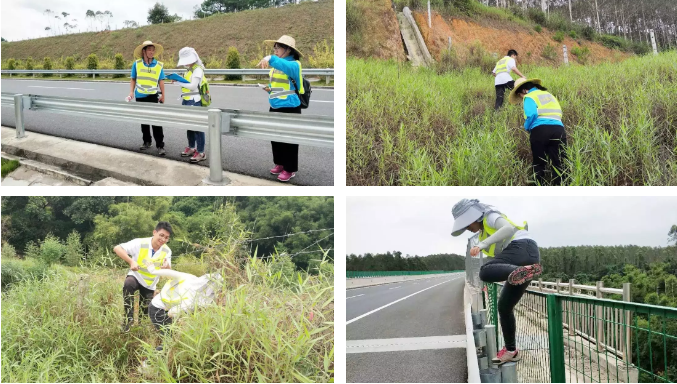 5cb3eb55e1402.png 6.png