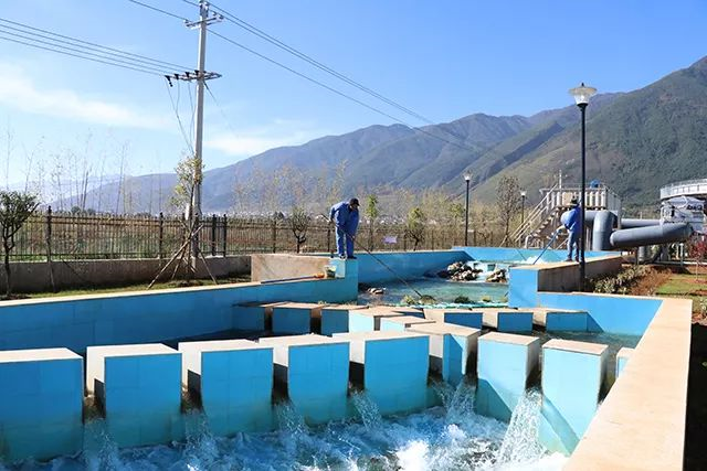 5d3e48f3e9bad.png 2-9.png