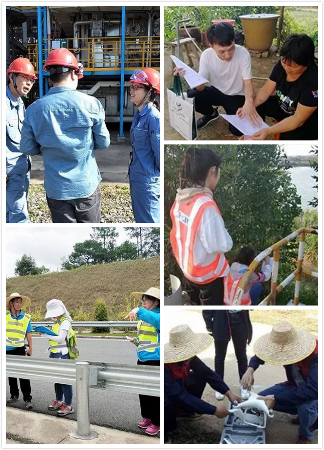 5d4c652665145.jpg 2.jpg