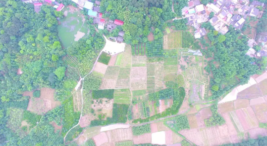 5ee2740417d12.png 1.png