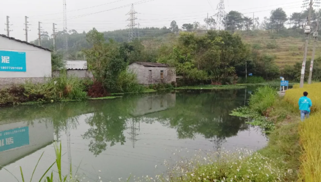 5efe5ddfb3184.png 3.png