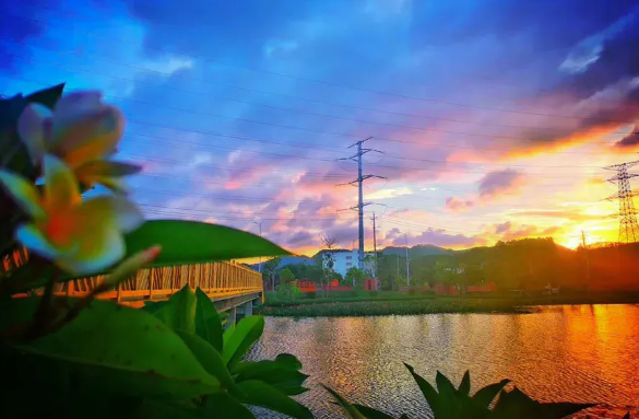 5f1dce97a25a2.png 6.png